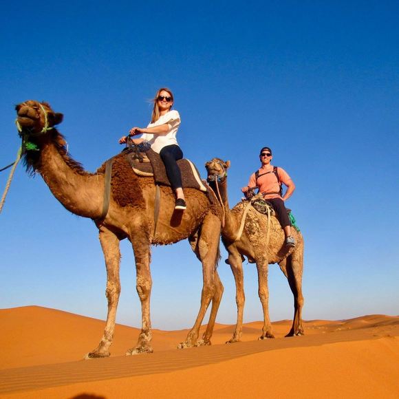 Meet your Posher, Cooper - Picture 1 of 1